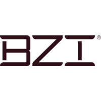 BZI-Building Zone Industries logo
